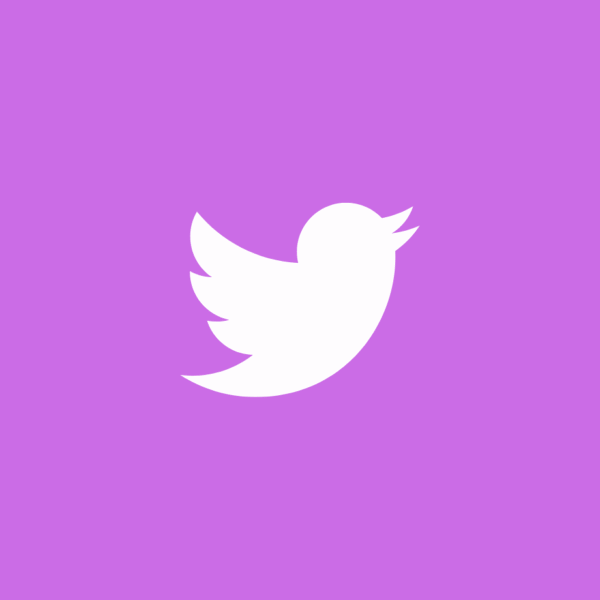 Twitters Comments 100 Increase Instant Delivery SMM Panel